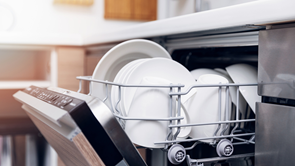 modern dishwasher open lead