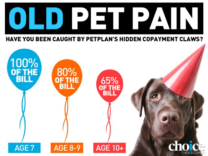 Old pet pain