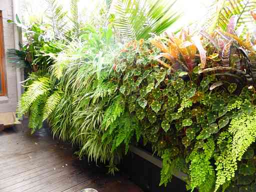 Gardening Forum Australia