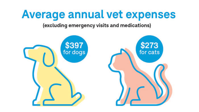 average annual vet expenses