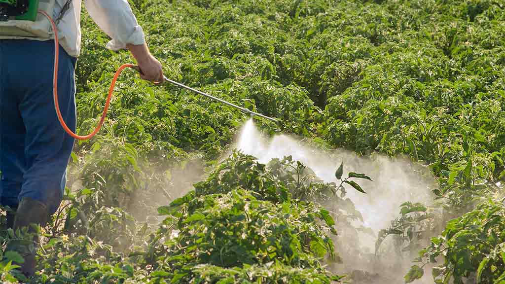 spraying pesticide on crops