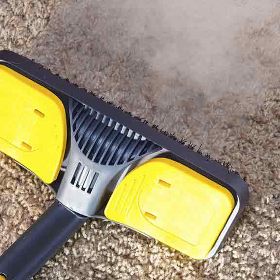 Karcher SC3 Steam mop reviews CHOICE