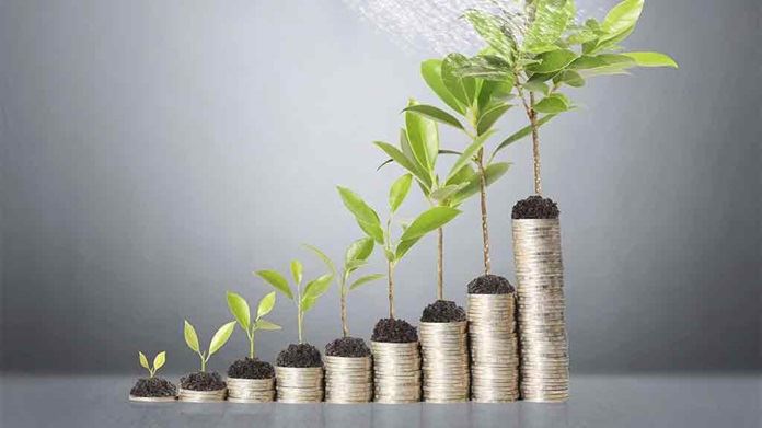 Financial Planning Guid!   es Reviews And Articles Choice - 