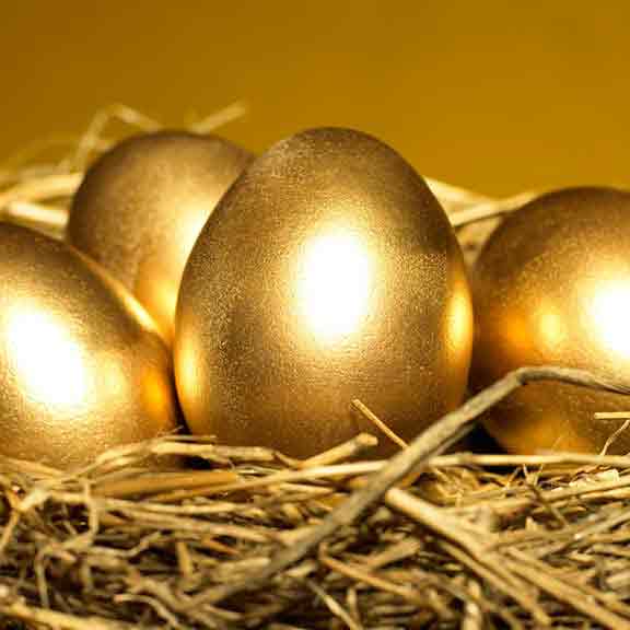 golden eggs in nest square