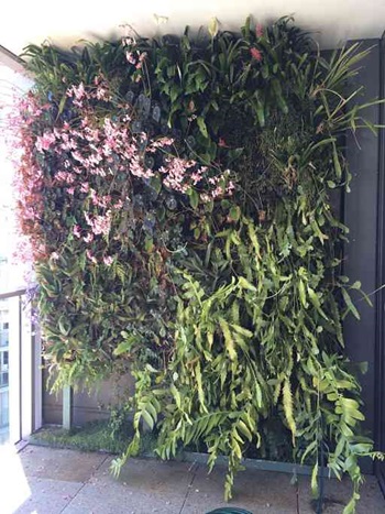  Bunny Gardiner-Hill's vertical garden on her inner-city apartment balcony in Pyrmont.