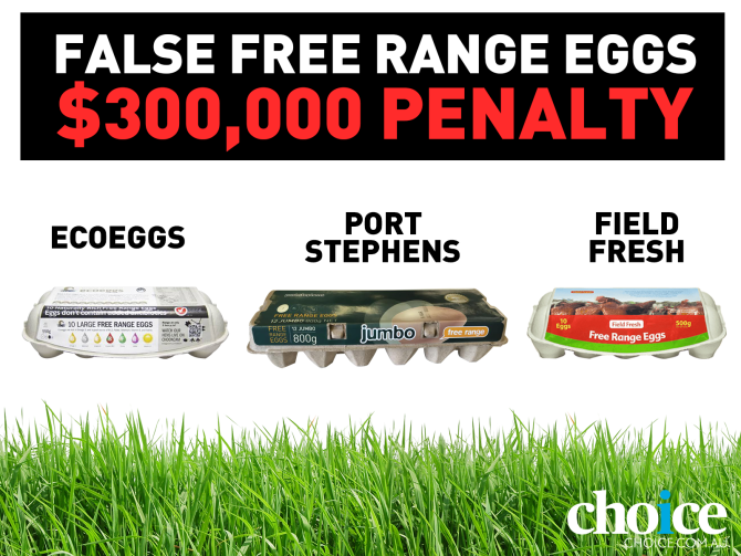 false free range brands fined