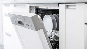 modern dishwasher open lead
