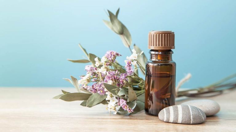 organic cosmetics ns lead