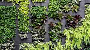 Green wall