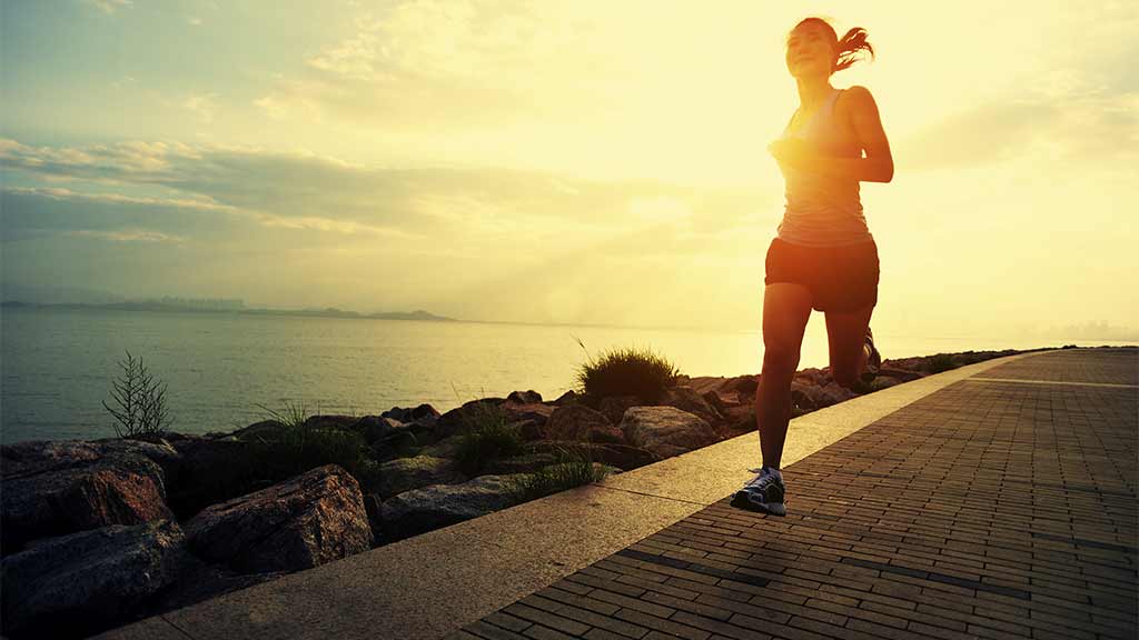 sweatshop free running shoes 2018