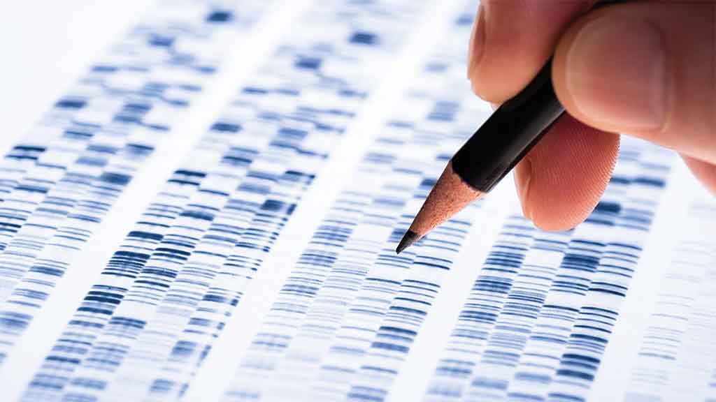 person-analysing-dna (1)