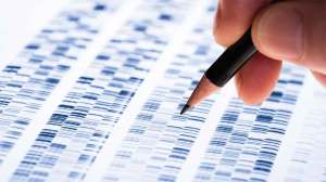 person-analysing-dna (1)