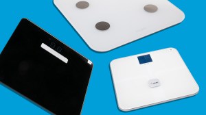 body fat scales