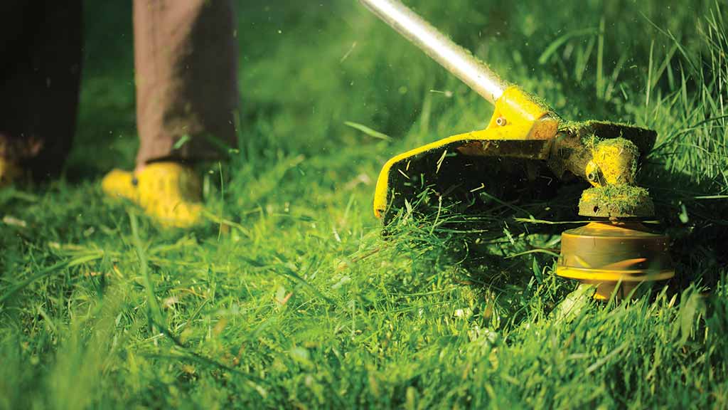 close up of line trimmer