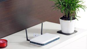 wi-fi router on shelf next to plant