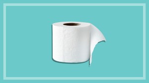 roll of toilet paper