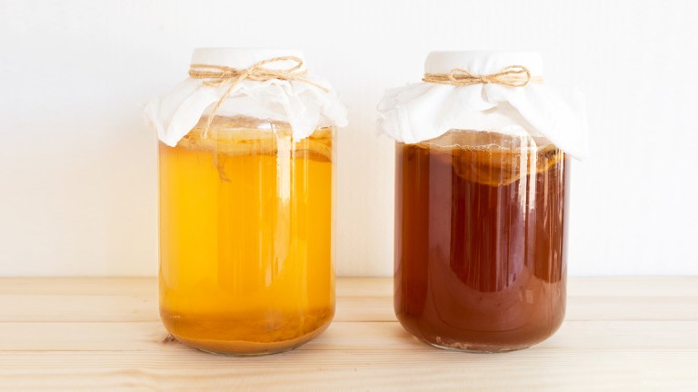 two_jars_of_homemade_kombucha_lead