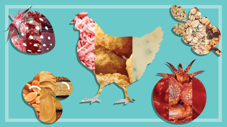 different_whole_processed_and_ultraprocessed_foods