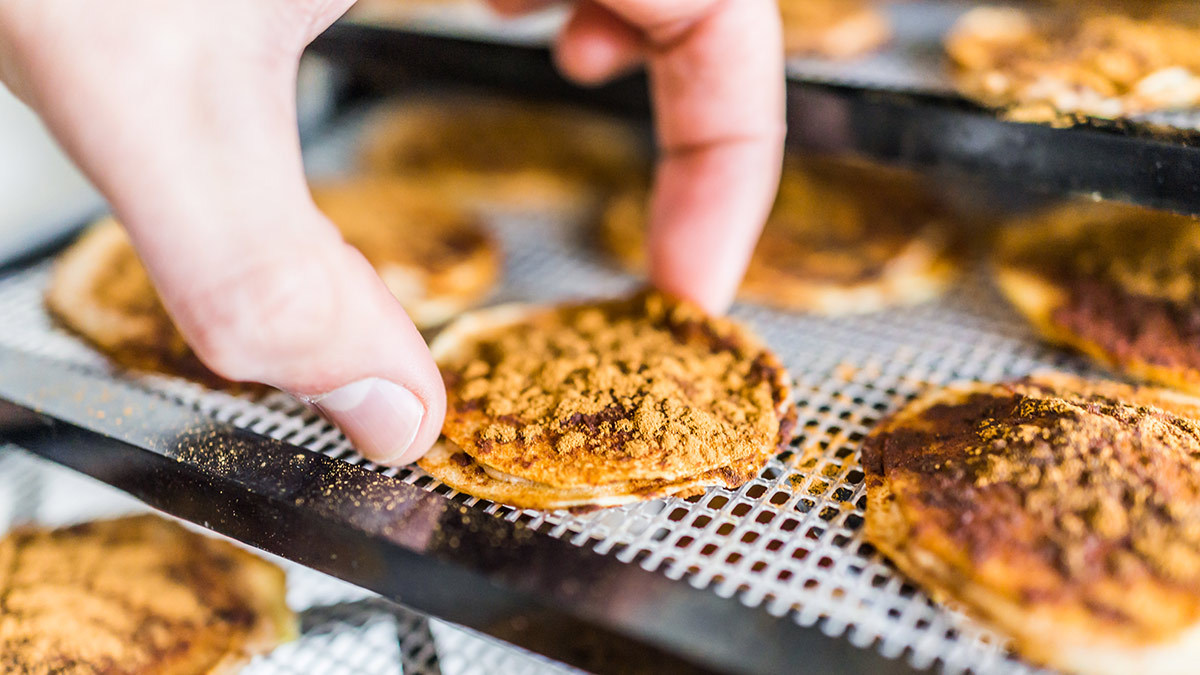 food_dehydrator_how_we_test