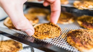 food_dehydrator_how_we_test