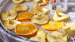 food_dehydrators_buying_guide