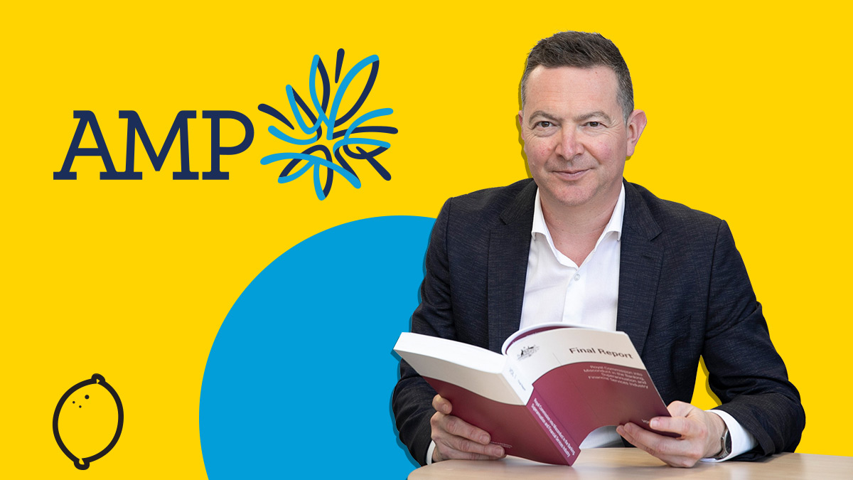 Shonkys Homepage AMP 2019 lead size