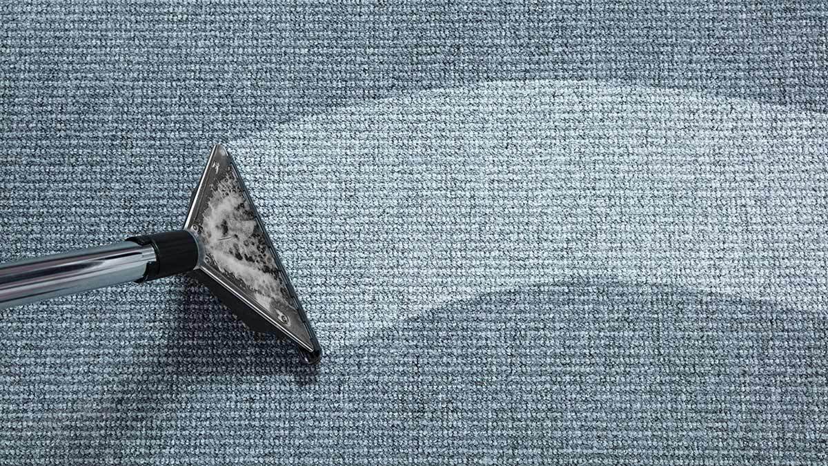 Carpet shampooer cleaning carpet