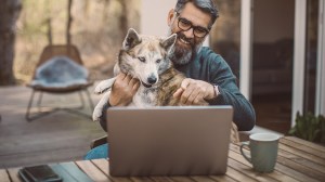 man on his laptop with his dog on the back verandah