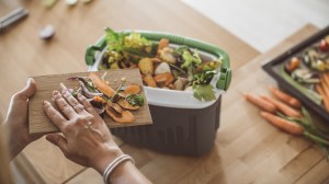 compost_caddy_in_kitchen_buying_guide