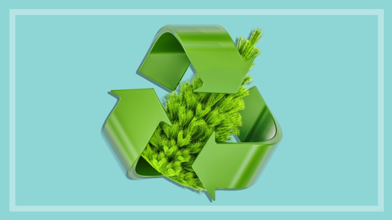 christmas recycling hacks