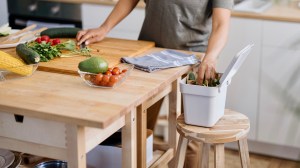 how_we_test_compost_caddies