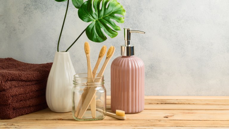 bamboo toothbrush plastic alternative