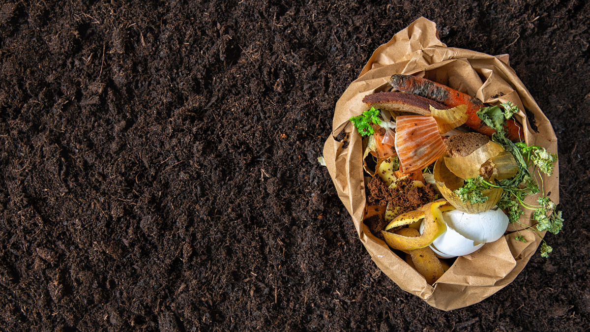 things to go in the compost bin lead