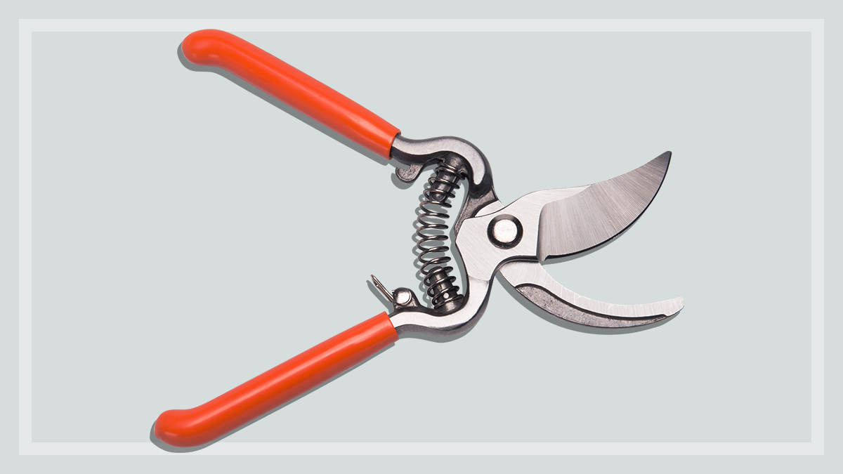 secateurs with red handles on a grey background