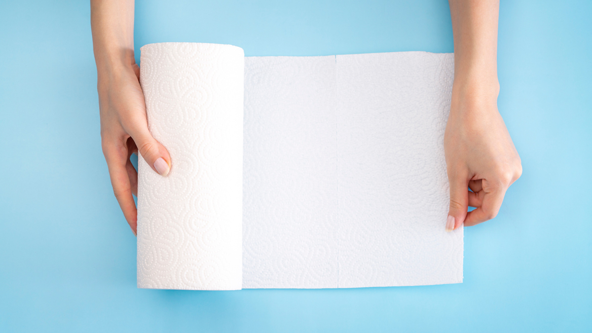hands holding paper towel roll