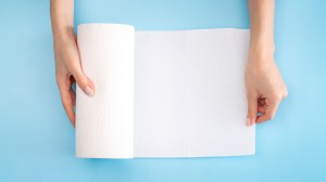 hands holding paper towel roll