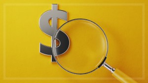 magnifying_glass_focusing_on_dollar_sign