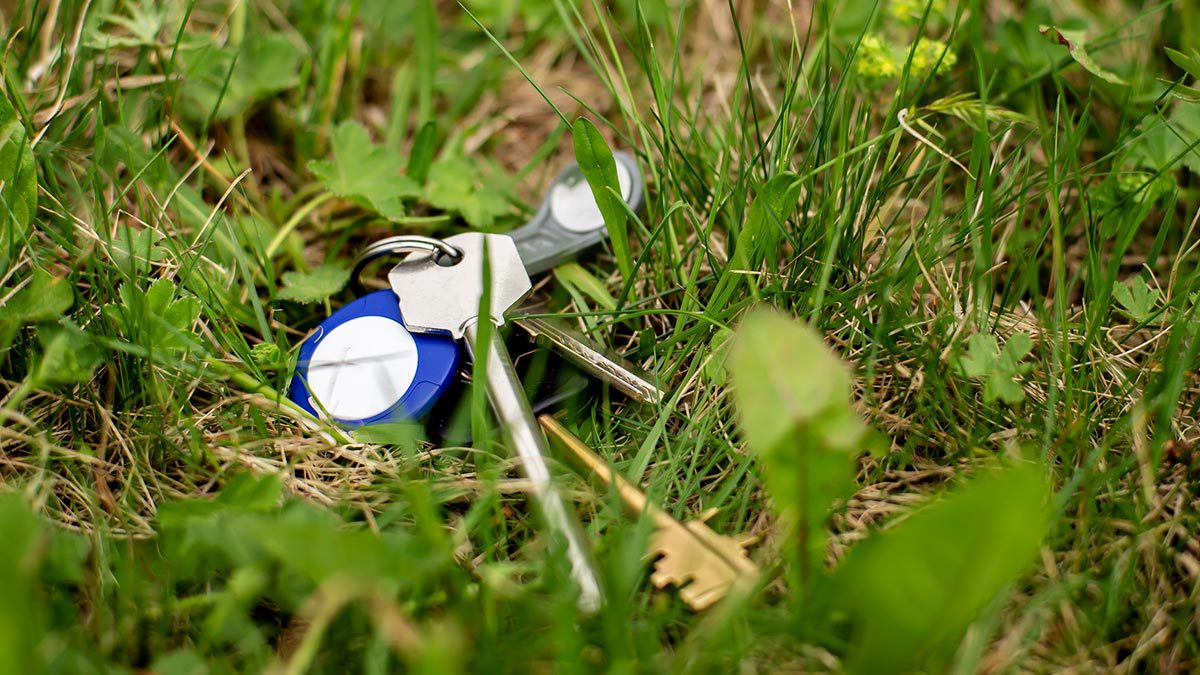 set_of_keys_with_bluetooth_tracker_dropped_in_long_grass