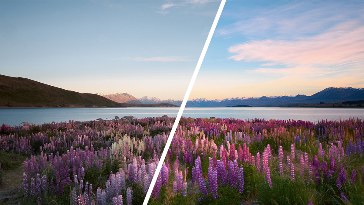 a photo of flowers and a lake with a white line through the middle showing what High Dynamic Range looks like