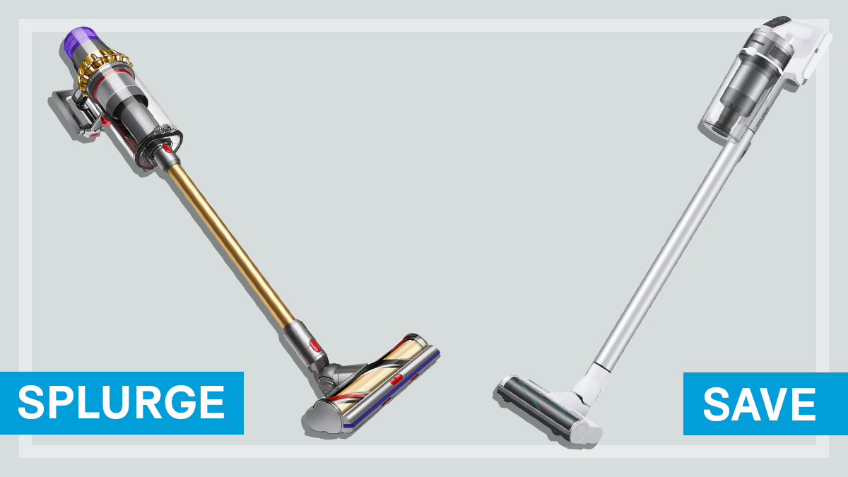 splurge and save stick vacuums dyson cyclone v11 samsung jet 70 pet lead