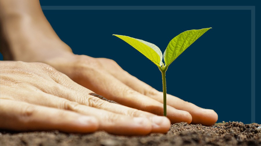 Submission to ACCC: Environmental and sustainability claims