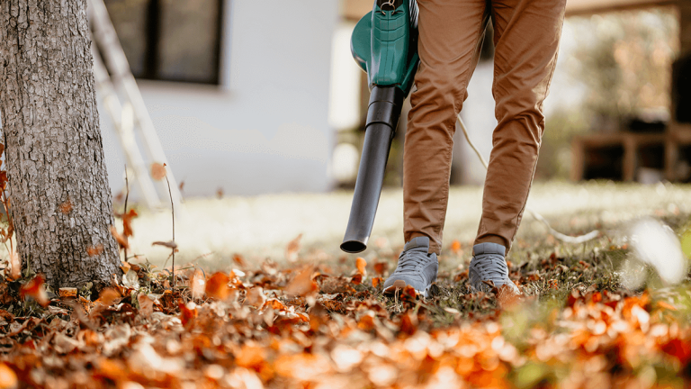person using a leaf blower on brown fallen leaves in a yard