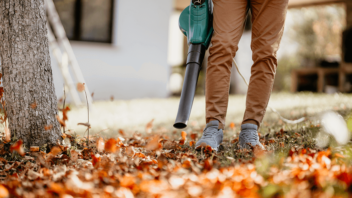 person using a leaf blower on brown fallen leaves in a yard