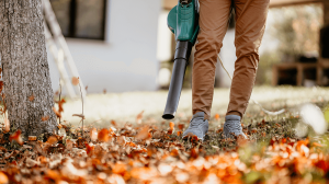 person using a leaf blower on brown fallen leaves in a yard