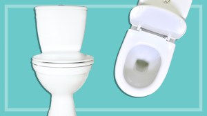 two_toilets_on_blue_background_reviews