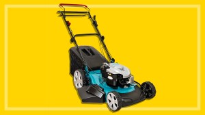 petrol lawnmower