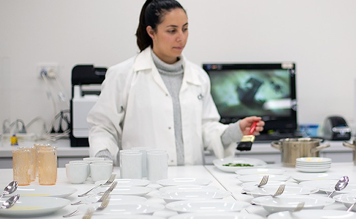 dishwasher testing rebecca
