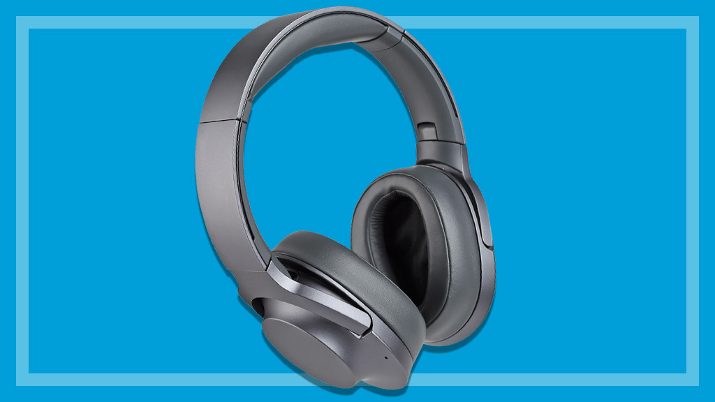 Headphones and earphones