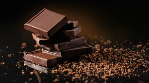 pieces of fine dark chocolate