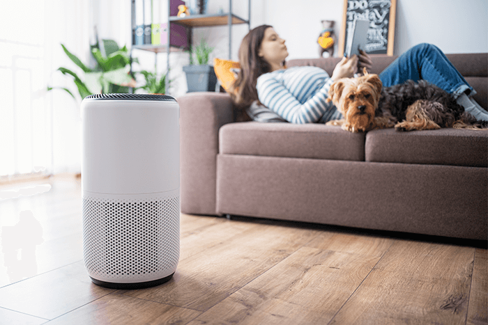 woman and dog lying on the lounge near an air purifier
